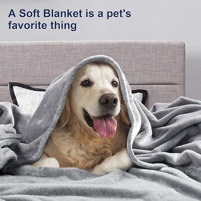 DREAMNINE Soft Plush Cute Fleece Throw Blanket for Couch Sofa 50" x 60", Decorative Solid Gray Lightweight Velvet Blanket for Chair,Cozy Accent Shaggy Minky Fuzzy Flannel Blanket for Bedroom Dorm,Grey