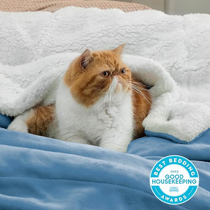Bedsure GentleSoft Sherpa Fleece Twin Size Blanket for Couch, Non-Heated, Thick and Warm Throw for Women and Men, Soft Fuzzy Plush Twin Blanket for Winter, Washed Blue, 60x80 Inches