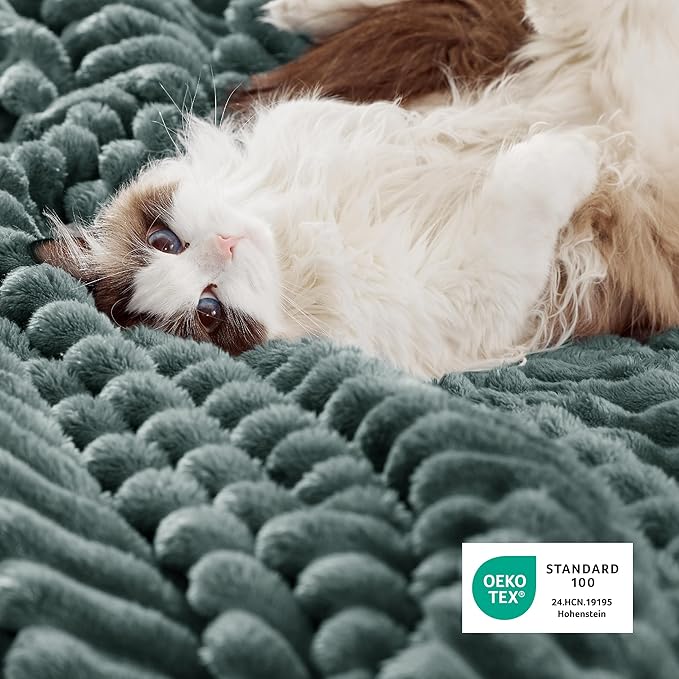Bedsure Sherpa Blanket Queen Size for Bed - Super Soft, Cozy Fleece Thick Warm Blanket for Winter, GentleSoft Home Room Decor, Dark Green, 90x90 Inches