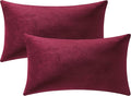 DEZENE Lumbar Pillow Covers 12x20 Burgundy: Pack of 2 Cozy Soft Velvet Rectangular Modern Luxury Decorative Throw Pillow Cases for Christmas Sofa Couch Living Room Bed Home Decor