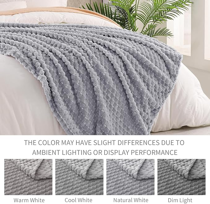 Exclusivo Mezcla Fleece Twin Blanket for Bed, Extra Large Fuzzy Light Grey Bed Blankets, Soft Cozy Plush Sofa Throws for All Seasons, 60x80 Inches