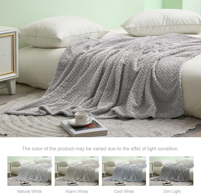 Exclusivo Mezcla Fleece Twin Size Blanket for Bed, 60x80 Inches Soft Cozy Jacquard Flannel Blankets, Lightweight Fuzzy Plush Warm for Women, Light Grey