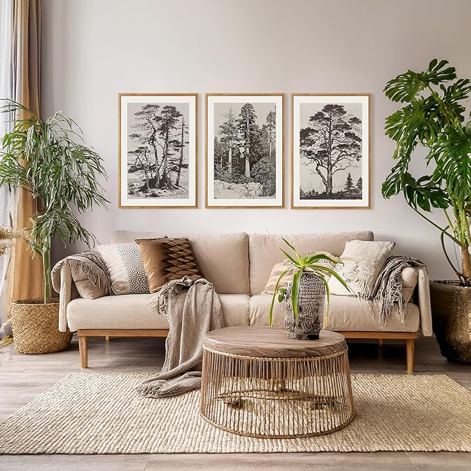 CHDITB Vintage Sketch Pine Tree Framed Canvas Wall Art Set Of 3, Antique Wilderness Forest Wall Decor, Nature Botanical Wall Painting, Modern landscape Art Prints for Living Room Bedroom(12X16 Inch)