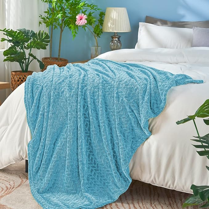 inhand Fleece Queen Blanket for Bed, Super Soft Flannel Cozy Queen Bed Blanket for Adults, Washable Lightweight Fuzzy Bed Blanket for Office, Warm Plush Blankets for All Season (90"×90", Blue)