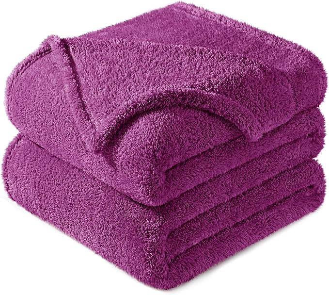 Exclusivo Mezcla Queen Size Blanket for Bed, Super Soft Velvet Plush Fleece Blankets, Fuzzy Cozy and Warm for Winter, 90x90 Inches, Purple