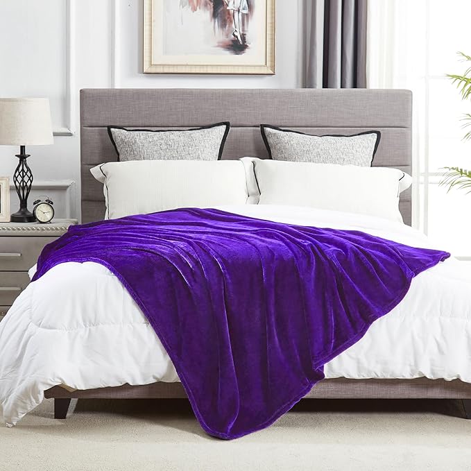 DREAMNINE Oversized Soft Fuzzy Fleece Throw Blanket Twin Size 60" x 80",Decorative Large Solid Lightweight Velvet Bed Blanket,Big Cute Cozy Accent Shaggy Microfiber Flannel Blankets for Bedroom,Purple