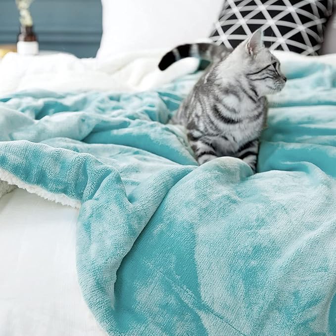 LBRO2M Sherpa Fleece Bed Blanket Queen Size,Super Soft Fuzzy Plush Warm Cozy Fluffy Microfiber Couch Throw Velvet Double Reversible Luxurious Blankets (Turquoise,Queen(90x90 Inches))