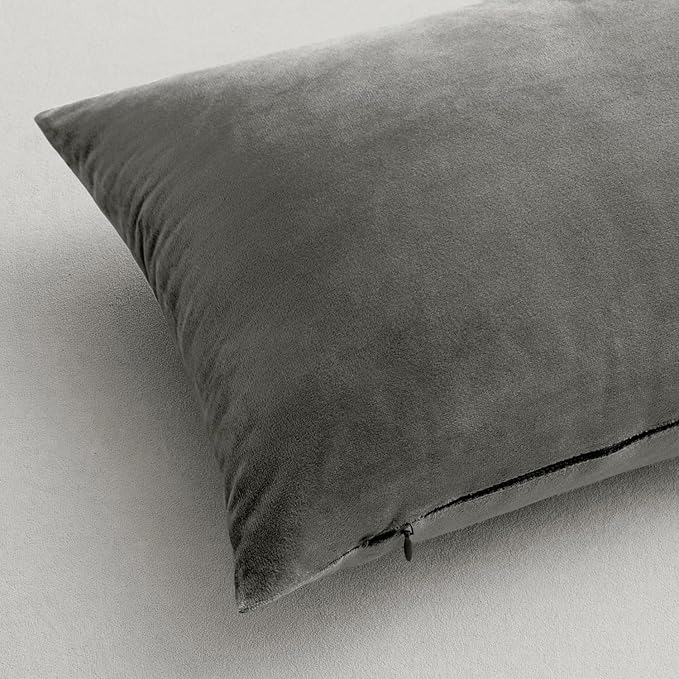 MIULEE Velvet Throw Pillow Covers 22x22 Inch, Pack of 2 - Grey, Soft Solid Decorative Pillow Covers Cushion Cases Modern Luxury Home Decor for Spring Couch Sofa Bedroom Livingroom