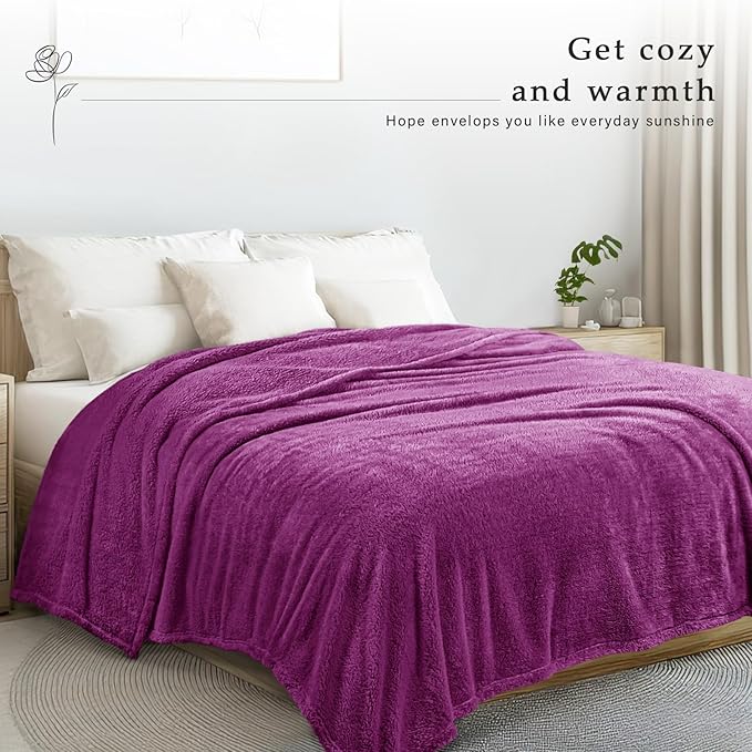 Exclusivo Mezcla Twin Size Blanket for Bed, Super Soft Velvet Plush Fleece Blankets, Fuzzy Cozy and Warm for Winter, 60x80 Inches, Purple