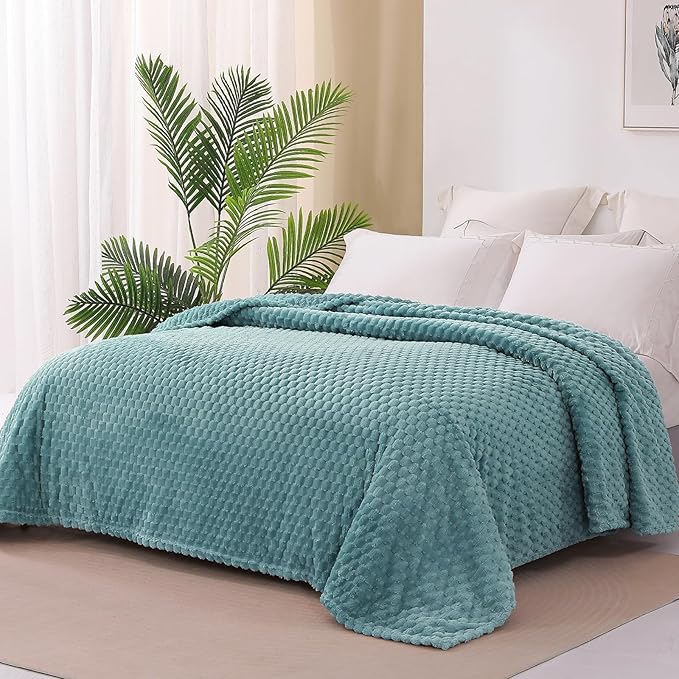 Exclusivo Mezcla Fleece Twin Blanket for Bed, Extra Large Fuzzy Celadon Bed Blankets, Soft Cozy Plush Sofa Throws for All Seasons, 60x80 Inches