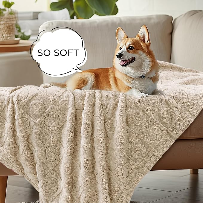 Luciphia 1 Pack 2 Small Dog Blanket Washable Pet Bed Cover Soft Fluffy Puppy Blanket with Premium Fleece 300GSM Cozy Calming Cat Blankets for Indoor Cats Beige 41x31 inch