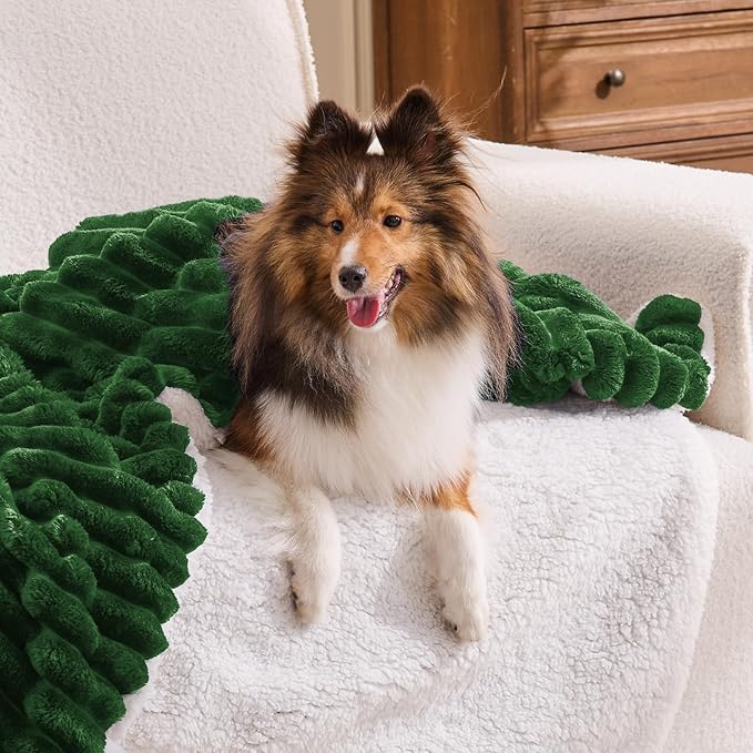 INFIIXSO Sherpa Throw Blanket for Couch - Super Soft & Warm Striped Fleece Blanket, Cozy Plush Fluffy Blanket All Season Use (Dark Green, 50x60 Inches)