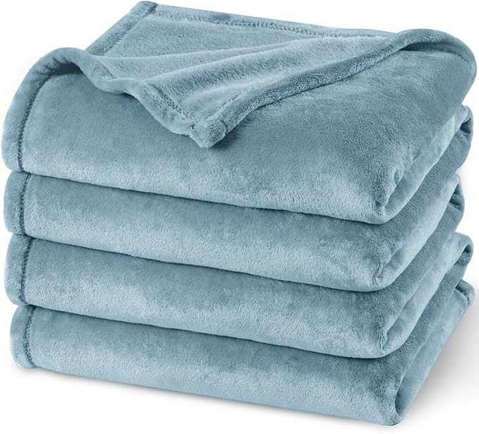 PHF Ultra Soft Fleece Blanket Twin Size, No Shed No Pilling Luxury Plush Cozy 300GSM Lightweight Blanket for Bed, Couch, Chair, Sofa, Perfect Decorations Gifts, 66" x 90", Dusty Blue