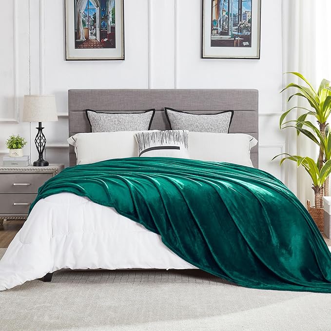 DREAMNINE Extra Large Soft Comfy Fluffy Fleece Bed Blanket Full Size 80" x 90", Luxury Decorative Fuzzy Blanket for Women Girl,Big Cozy Shaggy Warm Flannel Blankets for Winter Autumn Pets,Forest Green