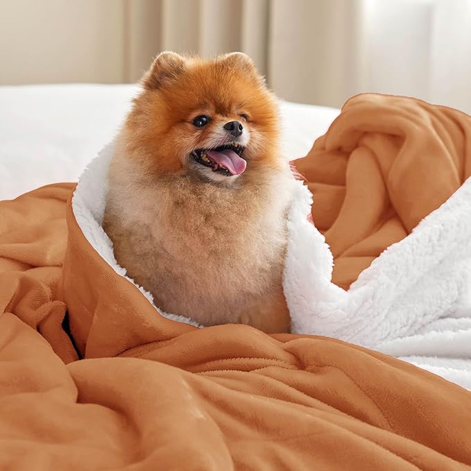 Bedsure GentleSoft Sherpa Fleece Blankets King Size for Bed, Non-Heated, Thick and Warm Throw for Women and Men, Soft Fuzzy Plush King Blanket for Winter, Burnt Orange, 108x90 Inches