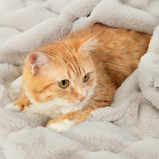 Cozy Bliss Deluxe Sheared Rabbit Faux Fur Throw Blanket, Soft Fuzzy High-Low Sculpted Plush Blanket for Couch, Cozy Home Accent, All Season Use, Beige 60"x80"