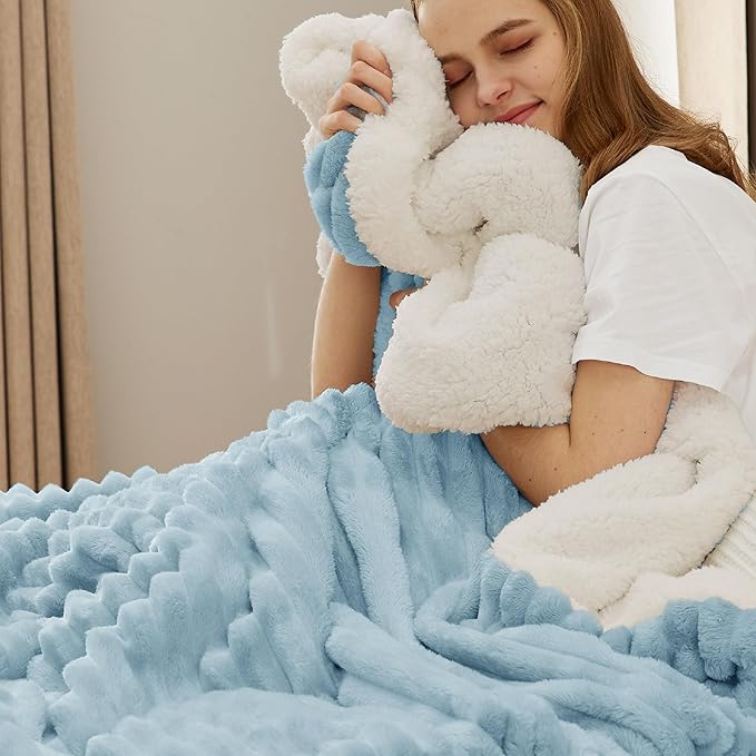 Bedsure Sherpa Blanket Twin Size for Couch - Super Soft, Cozy Fleece Thick Warm Blanket for Winter, GentleSoft Plush & Fluffy Throw Gift for Women, Home Room Decor, Sky Blue, 60x80 Inches