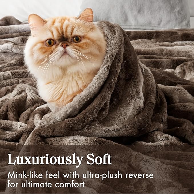 Madison Park Queen Size Ultra-Soft Poly Fur Blanket Queen Size, Reversible Plush, All Season & Lightweight Queen Fuzzy Blanket for Bed, Couch & Sofa, Zuri, Full/Queen Brown
