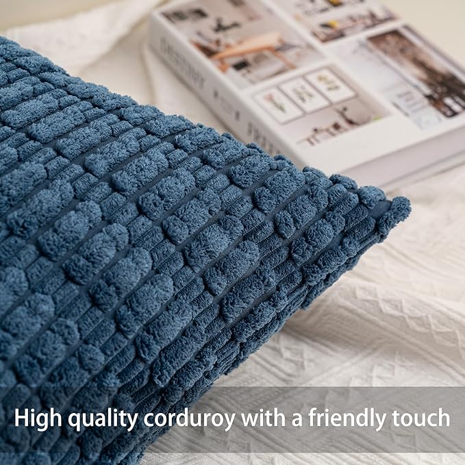 Aegero Pack of 2 Corduroy Decorative Throw Pillow Covers 20x20 Inch Soft Striped Pillow Covers Modern Farmhouse Home Decor for Sofa Living Room Couch Bed（Sky Blue）