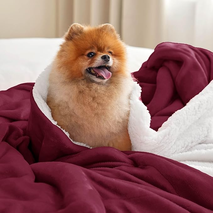 Bedsure GentleSoft Sherpa Fleece Blanket Queen Size for Bed, Non-Heated, Thick and Warm Throw for Girls and Women, Soft Fuzzy Plush Queen Blanket for Winter, Burgundy, 90x90 Inches