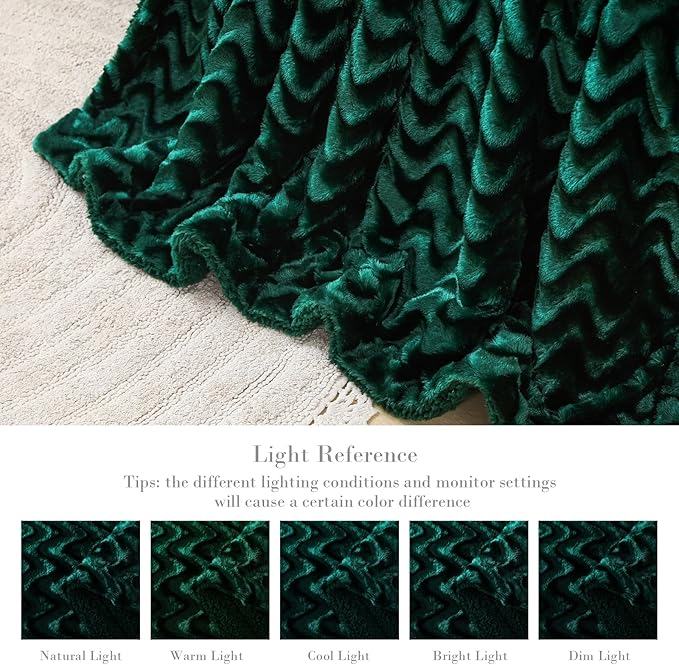 Whale Flotilla Faux Fur Sherpa Twin Size Blanket for Bed, Cozy Reversible Fuzzy Fluffy Plush Blankets for All Season, Warm and Soft, 60x80 Inch, Emerald Green