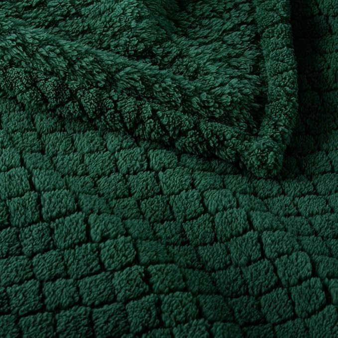 Exclusivo Mezcla Fleece Throw Blanket for Couch and Bed,Extra Soft Warm Decorative Fuzzy Throws for Women,Lightweight Cozy Blankets Size 50x60 Inches, Forest Green