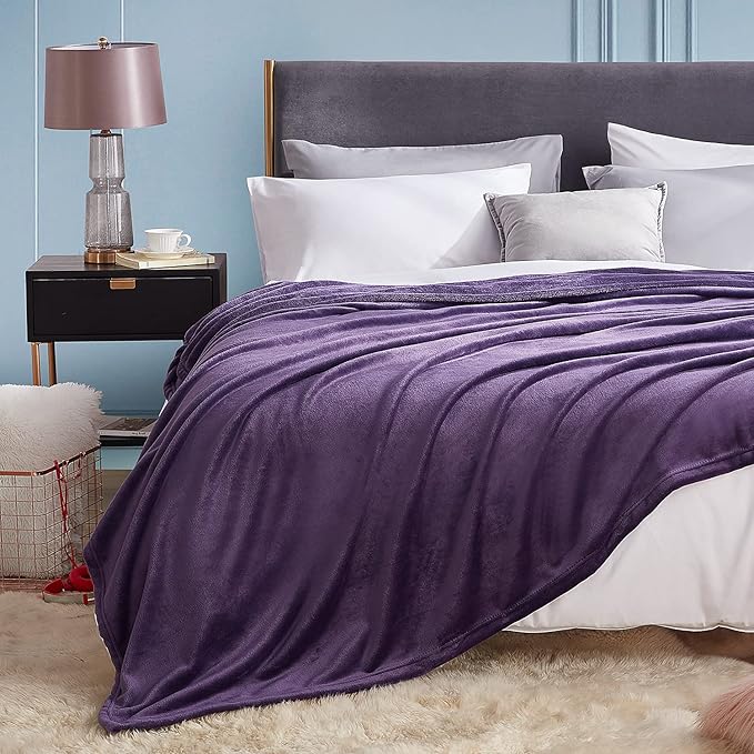 Hansleep Fleece Blanket Twin Size Purple, Soft Cozy Twin Fuzzy Flannel Lightweight Blanket for Bed, Sofa, Couch, Travel, Camping, Purple, 60x80 Inches