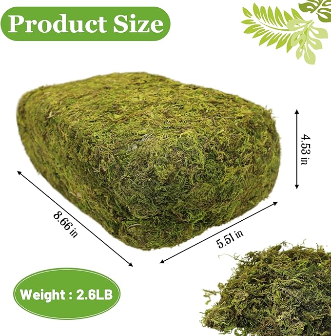 Riare 2.6LBS Artificial Fake Moss for Fake Plants Indoor- Premium Faux Craft Moss for Potted Plant, Fresh Forest Green for Hamsters Micro-Landscape Terrariums Centerpieces Decor