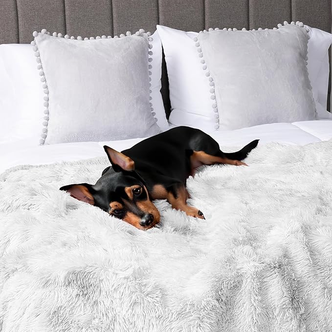 PAVILIA White Fluffy Throw Blanket for Couch, Twin Bed, Fuzzy Blanket for Women Men, Furry Plush Warm Blanket Bed Sofa, Super Soft Thick Faux Fur Sherpa Blanket Throw, 60x80