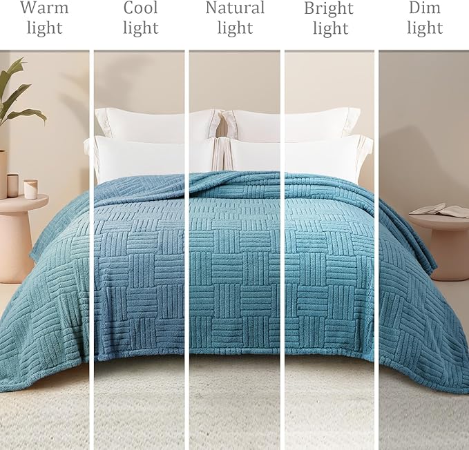 Whale Flotilla Lightweight Fleece Queen Size Blanket for Bed, Fuzzy Soft Blankets with Decorative Jacquard Pattern for All Season, Warm and Fluffy, 90x90 Inch, Slate Blue