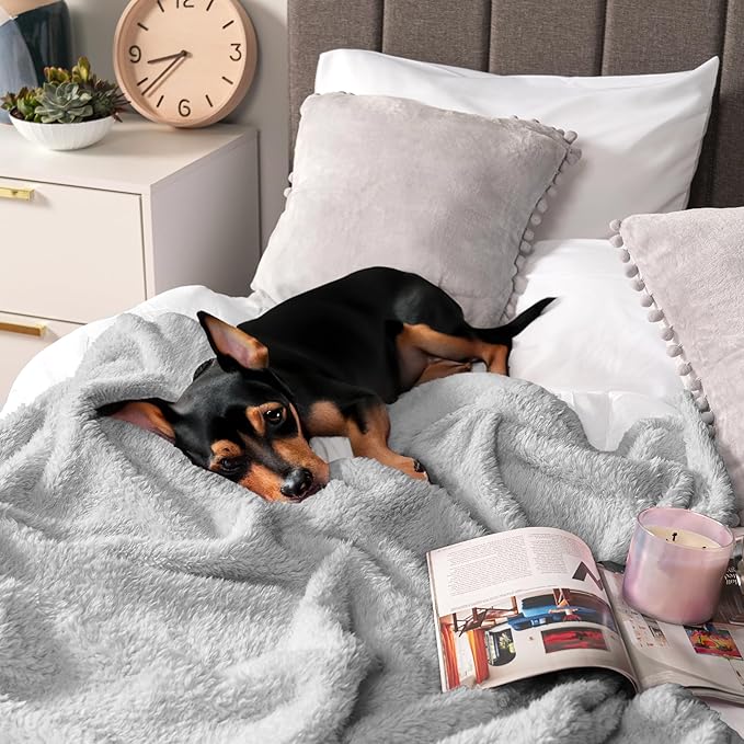 Pavilion Sherpa Bed Blanket Queen Size - Light Grey Plush Soft Cozy, Fluffy Microfiber, Fuzzy All Season, 90x90