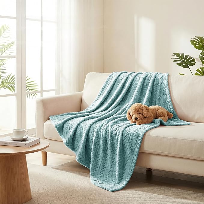 Exclusivo Mezcla Twin Blanket for Bed, Cozy Lightweight Fleece Blankets for All Season, Decorative Giftable Fuzzy Plush Wave Textured Suitable for Women, Men, Celadon, 90x66 Inches