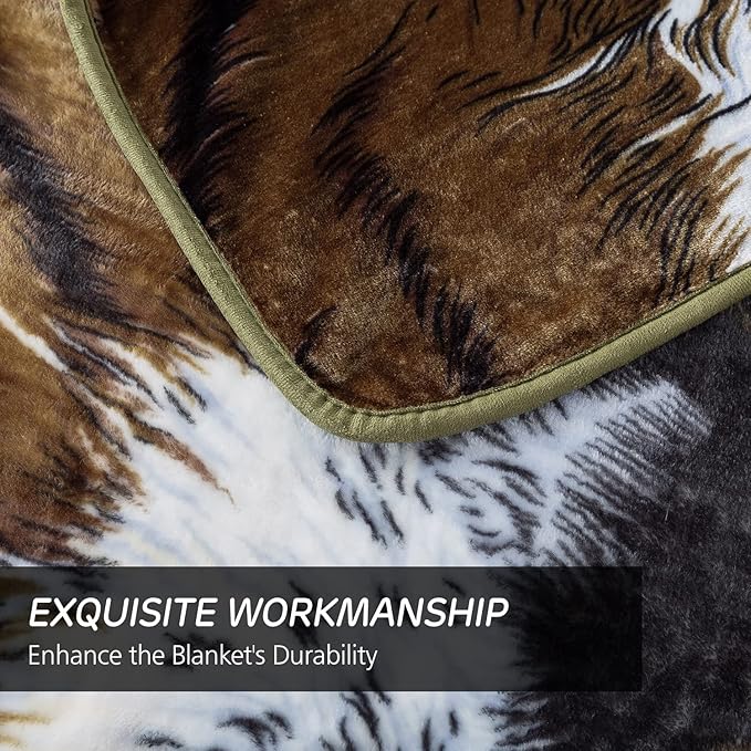 JYK Plush Fleece Blanket Queen Size 91" x 75", 3.7LBs 1 Ply Soft Korean Mink Warm Lightweight Bed Blanket for Autumn Winter