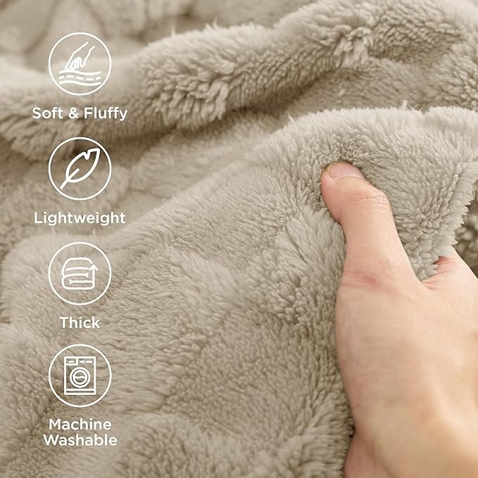 Bedsure GentleSoft Blankets Queen Size for Bed - Super Soft Cozy Blanket for Women Men Girls, Large Fuzzy Fleece Throw for Bedroom Decor, Neutral, 90x90 Inches