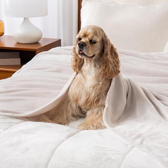 Berkshire Blanket Classic VelvetLoft® Solid Bed Blanket Queen Size,Lightweight Cozy Flannel Plush Blanket for Bed and Couch,Macadamia,90x90 Inches