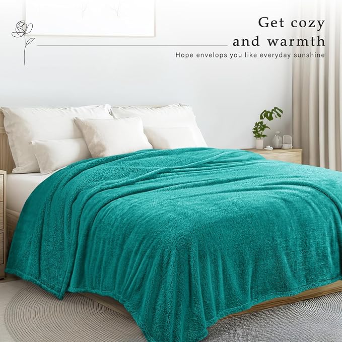 Exclusivo Mezcla Twin Size Blanket for Bed, Super Soft Velvet Plush Fleece Blankets, Fuzzy Cozy and Warm for Winter, 60x80 Inches, Teal