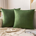 MIULEE Velvet Throw Pillow Covers 18x18 Inch, Pack of 2 - Moss Green, Soft Solid Decorative Pillow Covers Square Cushion Cases Farmhouse Modern Home Decor for Spring Couch Sofa Bedroom Living Room