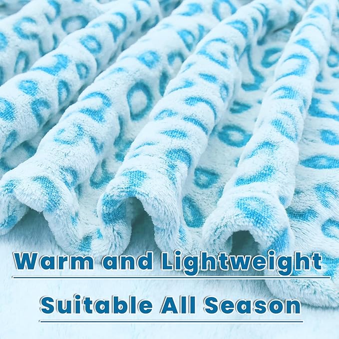 Blue Blanket Twin Size Cyan Throw Blankets Fuzzy Soft Sky Blue Fleece Twin Blankets for Bed Couch Bedroom Home Decor 60"x80"