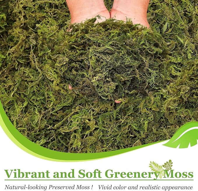 Riare 14OZ Artificial Fake Moss for Fake Plants Indoor- Premium Faux Craft Moss for Potted Plant, Fresh Forest Green for Hamsters Micro-Landscape Terrariums Centerpieces Decor