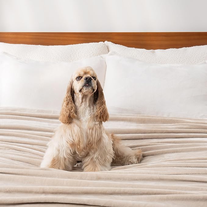 Berkshire Blanket Classic VelvetLoft® Solid Bed Blanket, Twin Size Bed Blanket, Lightweight Soft Fuzzy Plush Blanket for Bed and Couch, Grain, 60x92 Inches