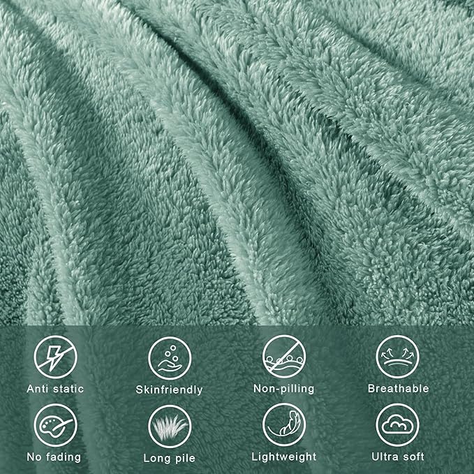 Exclusivo Mezcla Soft Fleece Throw Blanket for Couch, Super Soft Velvet Plush Fleece Blankets, Fuzzy Cozy and Warm for Winter, 50x60 Inches, Celadon