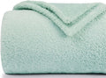 Plush Fleece Throw Blanket for Couch and Bed, Fluffy Fuzzy Cozy Queen-Size Soft Blankets All Season Use (60x80 Inches,Aqua)
