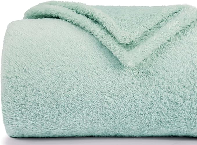 Plush Fleece Throw Blanket for Couch and Bed, Fluffy Fuzzy Cozy Queen-Size Soft Blankets All Season Use (60x80 Inches,Aqua)