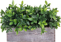 Winlyn Artificial Eucalyptus Plant in Rustic Rectangular Wooden Planter Box Faux Potted Herb Plant Greenery Arrangement for Farmhouse Indoor Wedding Table Centerpiece Mantel Shelf Kitchen Decor