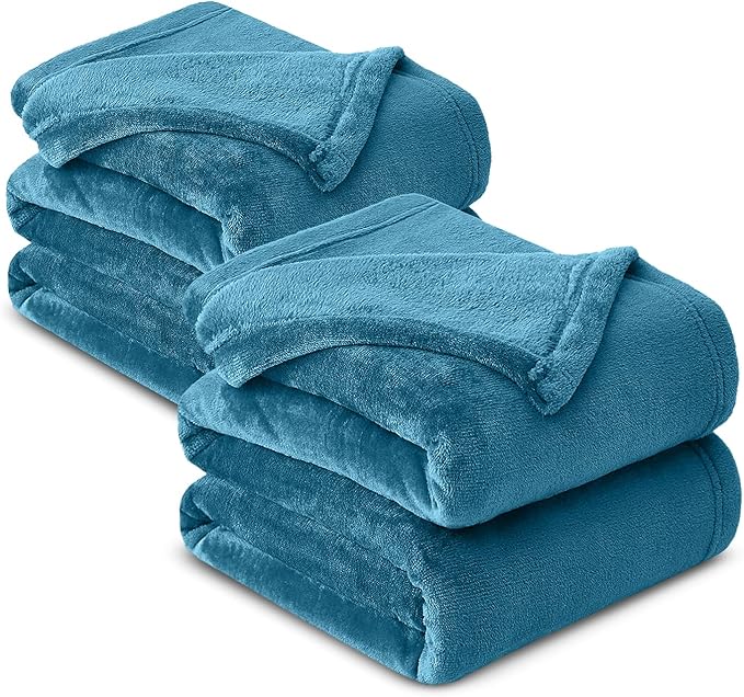 IR Imperial Rooms Fleece Blanket 2 Pack Twin Size 60x80 Inches - Super Soft Fluffy Throw Blanket for Sofa and Bed - Warm and Cozy Lightweight 400 GSM Microfiber Bed Throws Blankets (Twin, Teal)