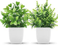 Der Rose 2 Pack Fake Plants Small Faux Artificial Small Potted Plants Indoor for Room Home Office Farmhouse Bathroom Decor