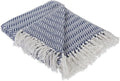 DII Modern Farmhouse Cotton Herringbone Blanket Throw with Fringe for Chair, Couch, Picnic, Camping, Beach, & Everyday Use, 50 x 60 - French Blue