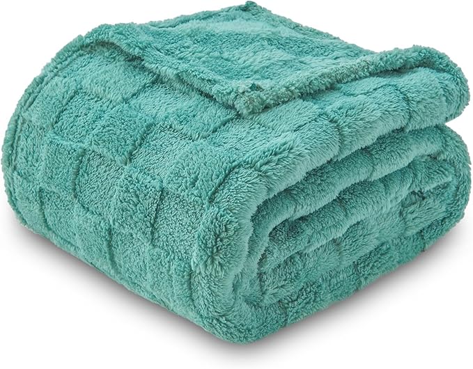 NEWCOSPLAY Super Soft Queen Blanket Mint Green Premium Silky Flannel Fleece 3D Checkered Lightweight Bed Blanket All Season Use (Mint Green Checkered, Queen(90"x90"))