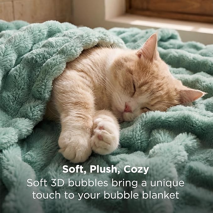 Bedsure 3D Fleece Bubble Blanket - GentleSoft Green King Blanket for Bed Sofa Room Decor - Luxury Soft Cozy Gifts for Women, Lightweight, All Seasons, Sage Green, 108"×90"