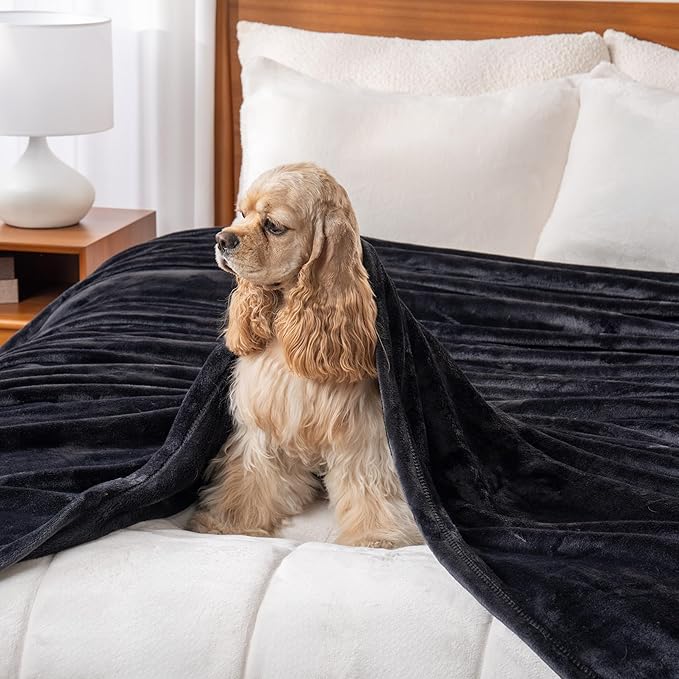 Berkshire Blanket Classic VelvetLoft® Solid Bed Blanket,Twin Size Bed Blanket,Lightweight Soft Fuzzy Plush Blanket for Bed and Couch,Black,60x92 Inches